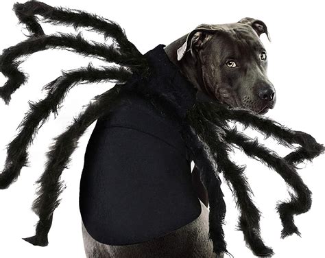 Dog Costume Spider