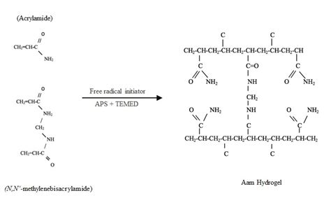 Image result for Polymerization Process and Examples