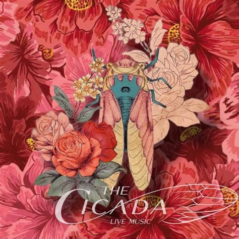 The Cicada , The Cicada, Fort Worth, January 4 to January 5 | AllEvents.in