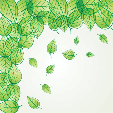 Environment Transparent Background 的图像结果