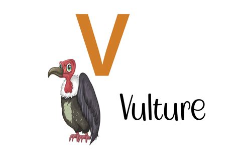 Animals That Start With The Letter V