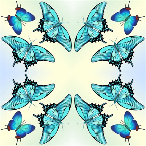 Image result for Butterfly Dance Tutorial