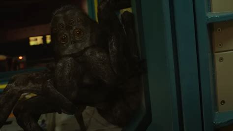 Spaceman 的图像结果