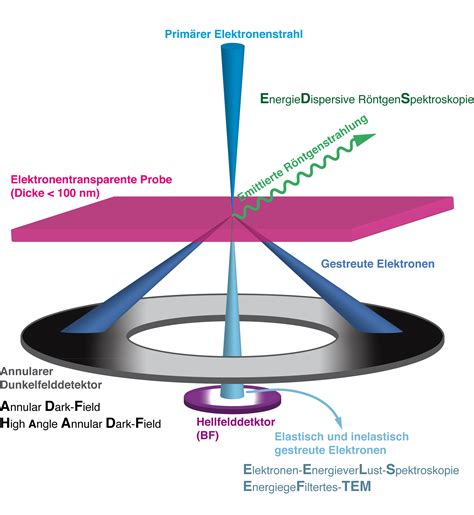 Electron Microscope 的图像结果