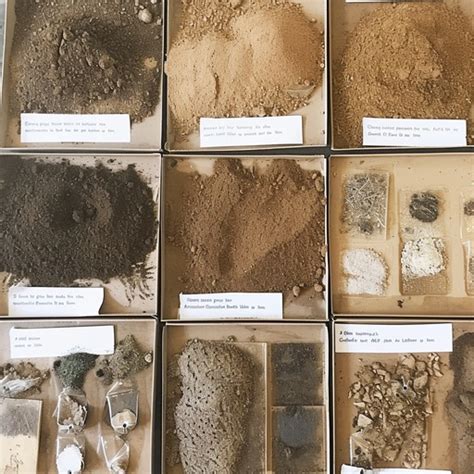 Image result for Soil Collection