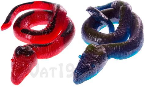 Image result for Python Snackes