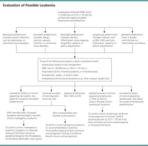 Leukemia: An Overview for Primary Care | AAFP