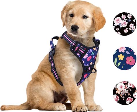 Amazon.com : Foxyep No Pull Dog Vest Harness for Medium Dogs with Easy ...