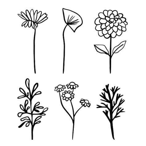 Simpele bloem tekening Afbeeldingen - Gratis downloaden op Freepik