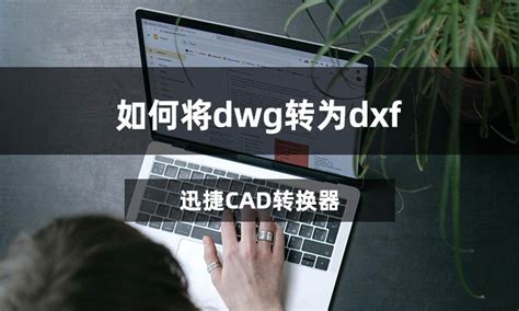 DXF to BiesseWorks 的图像结果