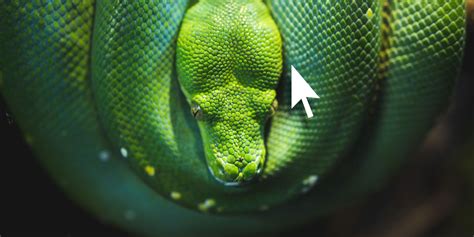 Python Click Function 的图像结果