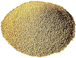 Buy Sky Foxtail Seeds,Kangni,Thinai Millet Birds Seeds 100% Natural ...