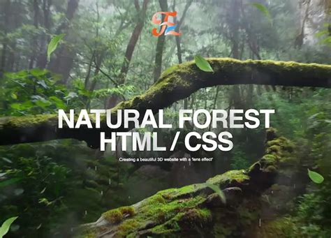 Parallax Effect HTML 的图像结果