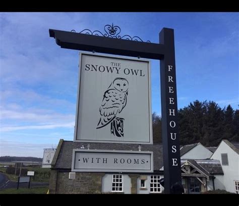 THE SNOWY OWL, Cramlington - Menu, Prices & Restaurant Reviews ...