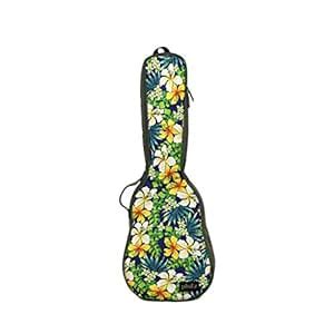 Phitz Baritone Ukulele Case, Hawaii - PH66310UBP : Amazon.in: Musical ...
