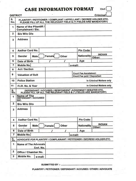 Case Identifier Example 的图像结果