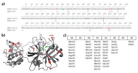 Identification of Host Cellular Protein Substrates of SARS-COV-2 Main ...