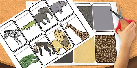 Wild Animals Colour Matching Activity Flashcards - flashcards