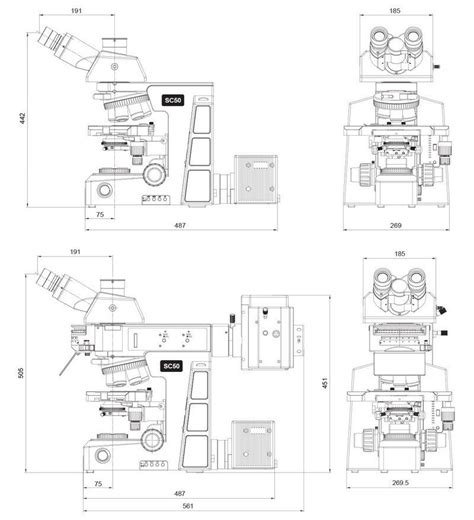 Biological Microscope 的图像结果