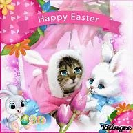 Image result for Cute Bunny and Cat
