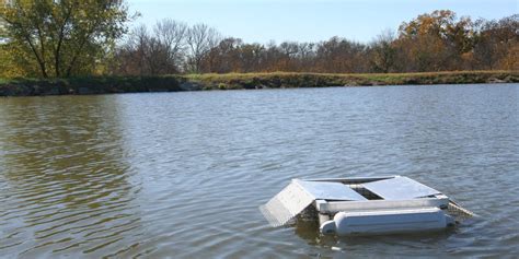 Image result for Building a Turtle Trap