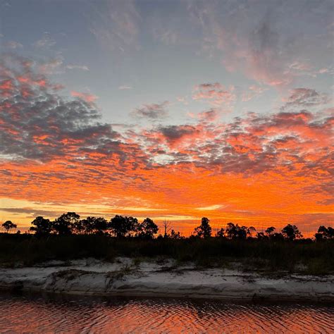 Indian Pass Campground | Port St. Joe, Florida
