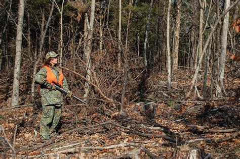 Deer Hunting Virginia's Late Season | Virginia DWR