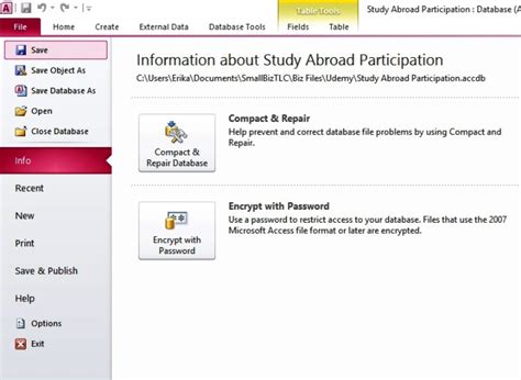 Image result for Access Advanced Tutorial
