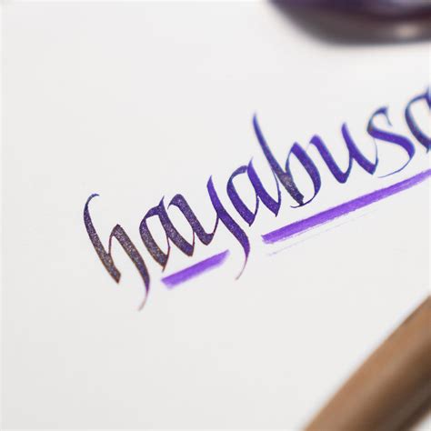 Colorverse Glistening Hayabusa Purple Ink - 30ml|Buy Online|Colorverse ...