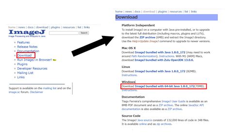 Fiji ImageJ Download 的图像结果