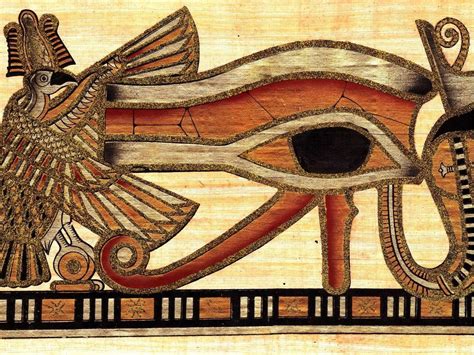 10 Spiritual Meanings of Wombat, Symbolism & Tattoos - What Spiritual