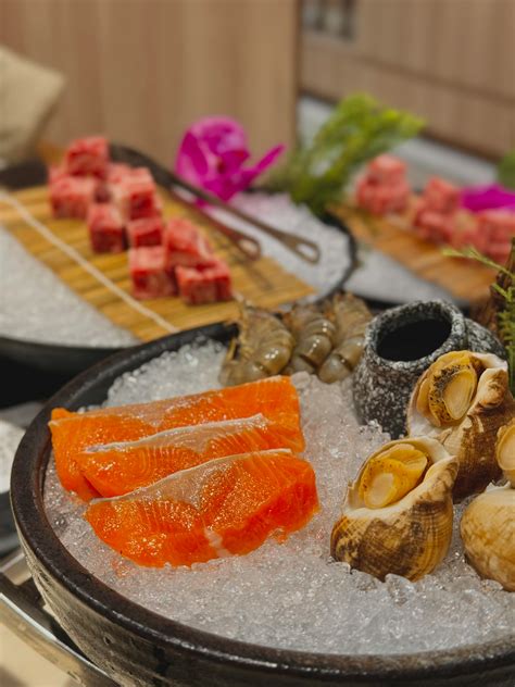 Image result for Shells Lil