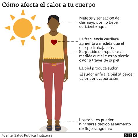Cómo impacta el calor extremo a nuestro cuerpo y cómo puedes protegerte
