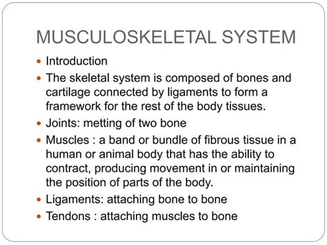 Image result for Musculoskeletal System Word