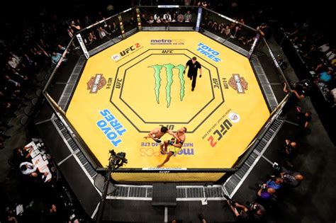 UFC Boxing 的图像结果
