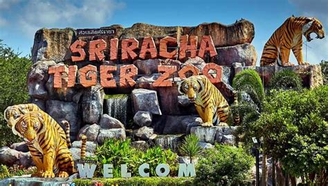 Best Tourist Places In Thailand One Must Visit In 2026