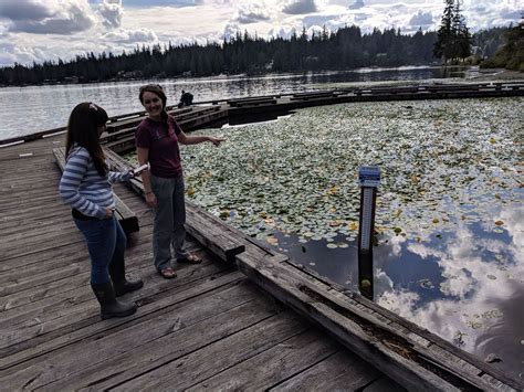 NASA Galaxies 的图像结果