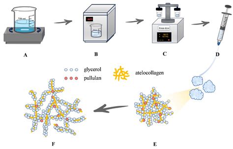 Novel Injectable Collagen/Glycerol/Pullulan Gel Promotes Osteogenic ...