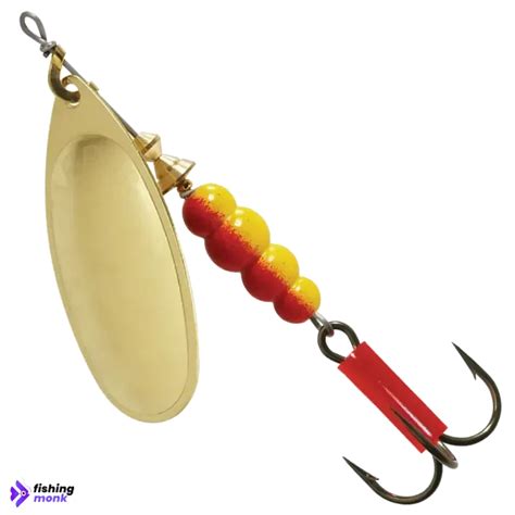 Buy Fishing Gear Online India | Top Brands | Fast Shipping – Fishingmonk