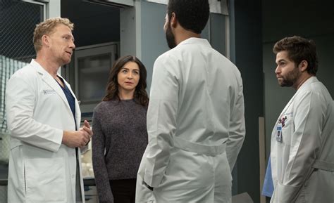 Grey's Anatomy TV Show on ABC: Season 20 Viewer Votes - canceled + renewed TV shows, ratings ...