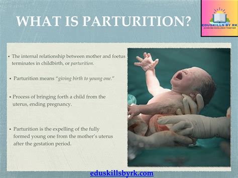 Image result for Parturition Class 12