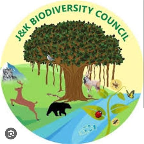 poster on the biodiversity of Jammu and Kashmir - Brainly.in - ecosystem of jammu and kashmir