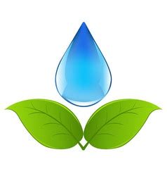 Water Drop Vector 的图像结果