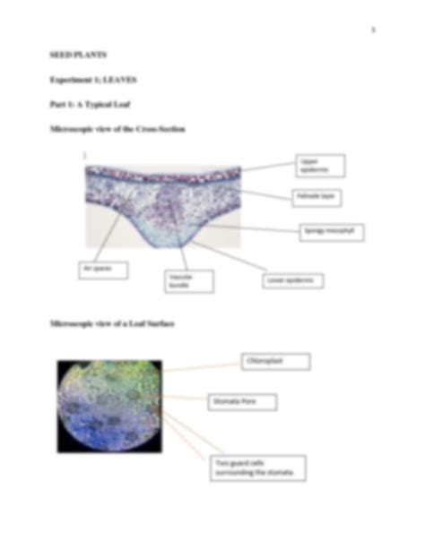 Image result for Plant Science Class U of S Lab Help