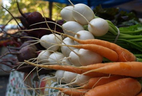 The Surprising Health Benefits of Root Vegetables: Exploring the ...