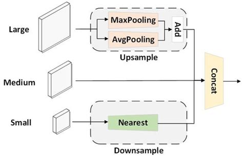 DyFish-DETR: Underwater Fish Image Recognition Based on Detection ...