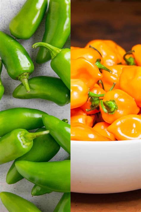 https://www.chilipeppermadness.com/wp-content/uploads/2014/04/Jalapeno-Vs-Habanero-Peppers.jpg?utm_source=chatgpt.com