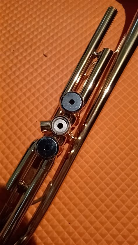 Image result for Trumpet Valve Problems