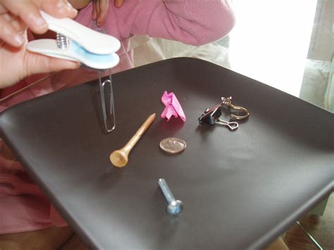 Image result for Science Magnets