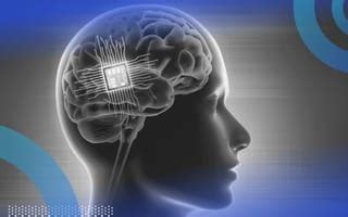Image result for Brain-Computer Principle
